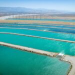 Groundwater or Imported Water