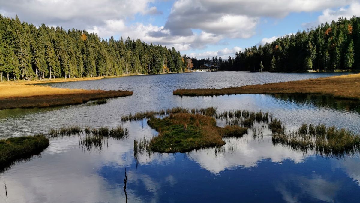 Surface Water vs Groundwater – What’s the Difference and Why It Matters