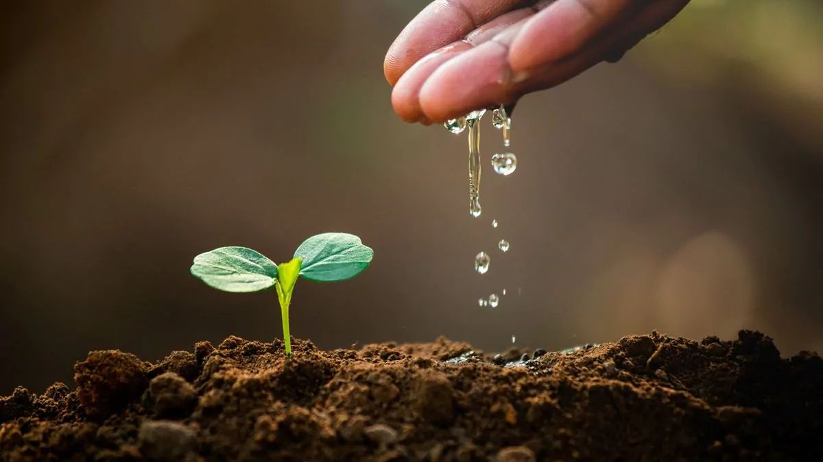 Sustainable Water Management – What It Means and Why It Matters